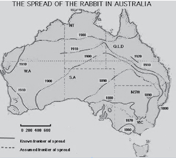    La progression des lapins en Australie.